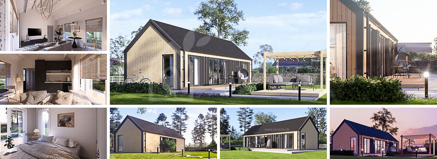 Holzhaus ADALINE (Isoliert, 34 mm + Holzverschalung), 50 m² visualization 1